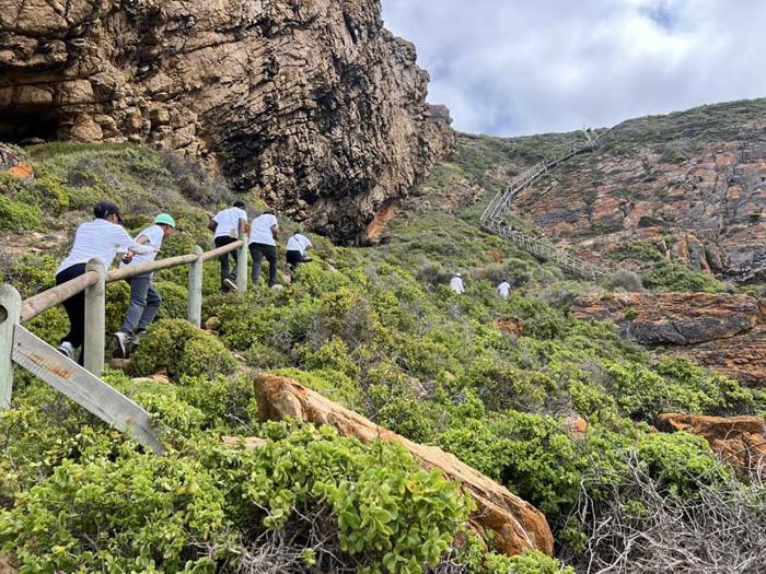 Boardwalk down the cliffs to the Pinnacle Point caves